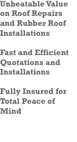 Dripping Roof and Damp Repairs Kenilworth